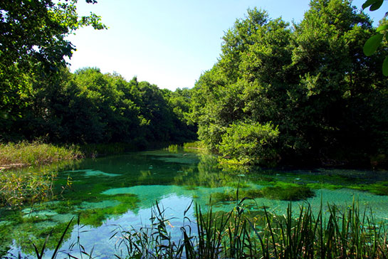 Yeşil Göl